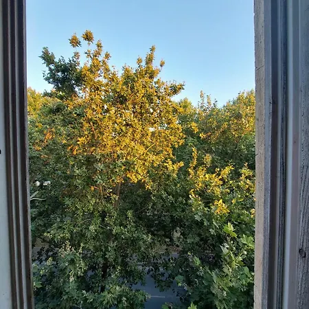 Hostel River Τίρανα