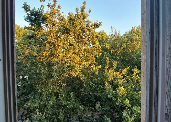 旅馆 River 地拉那